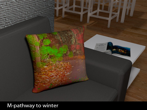 Decorative Cushions for Sofa & Garden